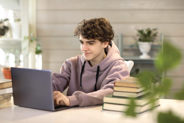 overview-of-online-mba-from-iim